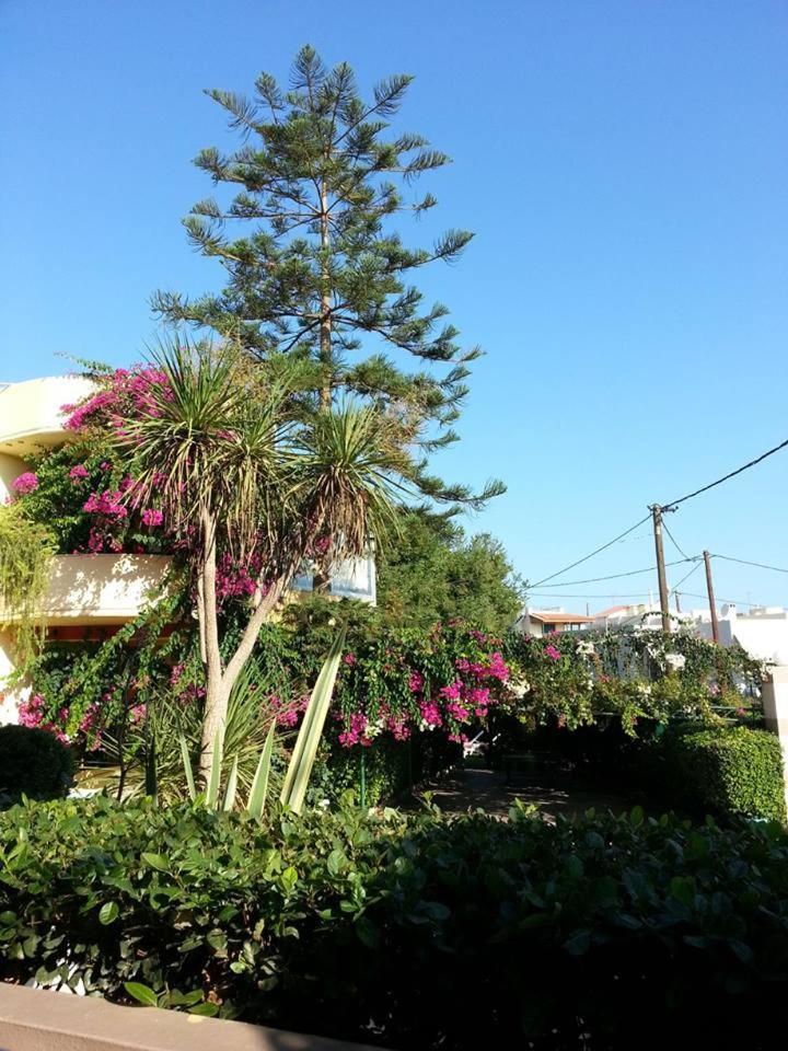 Pantheon Hotel (Adults Only) Atsipopoulo Exterior photo